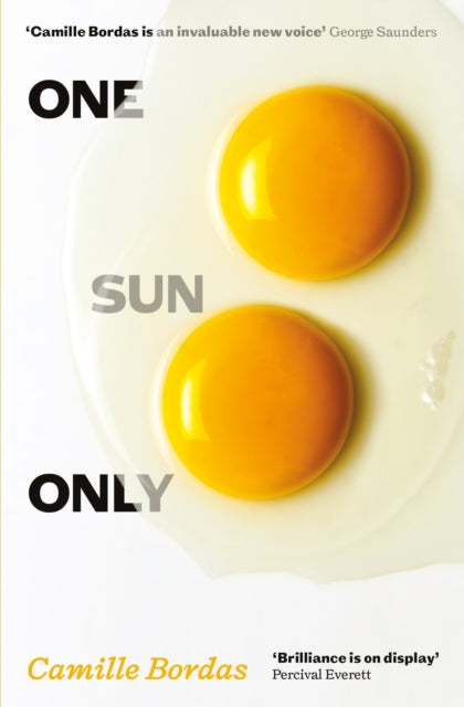 One Sun Only (ISBN: 9781805220145)