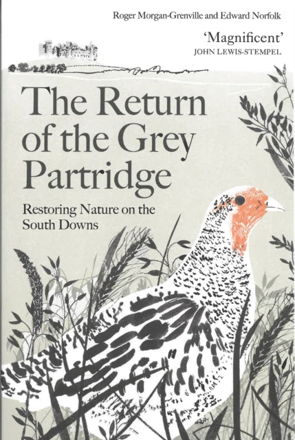 The Return of the Grey Partridge : Restoring Nature on the South Downs (ISBN: 9781805223498)