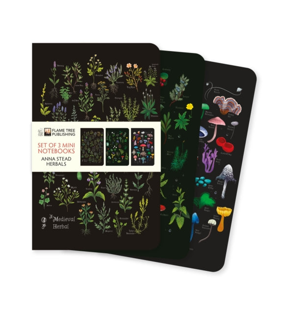 Anna Stead: Herbals Set of 3 Mini Notebooks (ISBN: 9781835627020)
