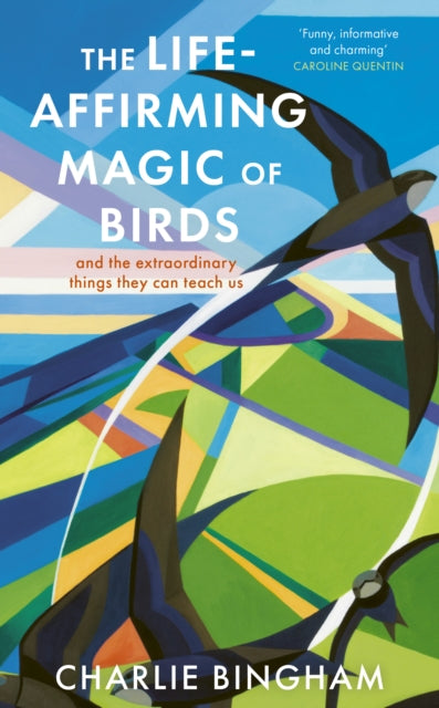 The Life-Affirming Magic of Birds : and the extraordinary things they can teach us (ISBN: 9781836002253)