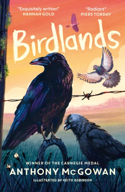 Birdlands (ISBN: 9781836431800)