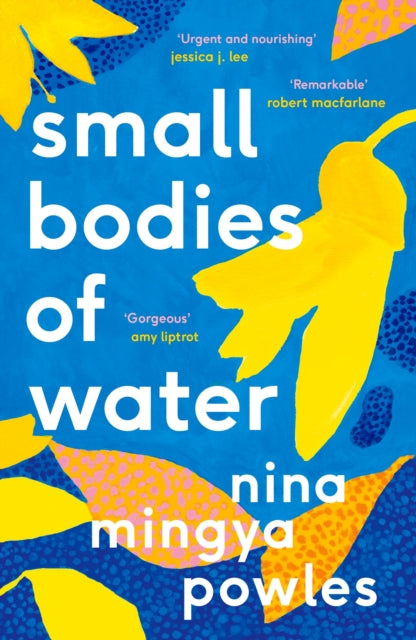Small Bodies of Water (ISBN: 9781838852184)
