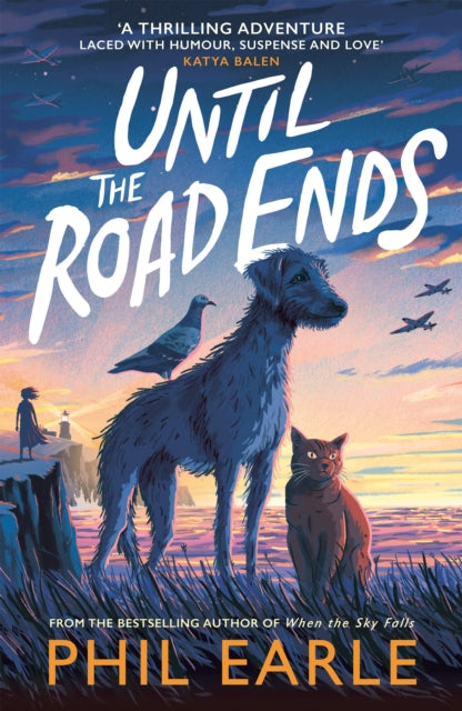 Until the Road Ends : From the bestselling author of When the Sky Falls (ISBN: 9781839133169)