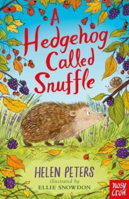 A Hedgehog Called Snuffle (ISBN: 9781839945052)