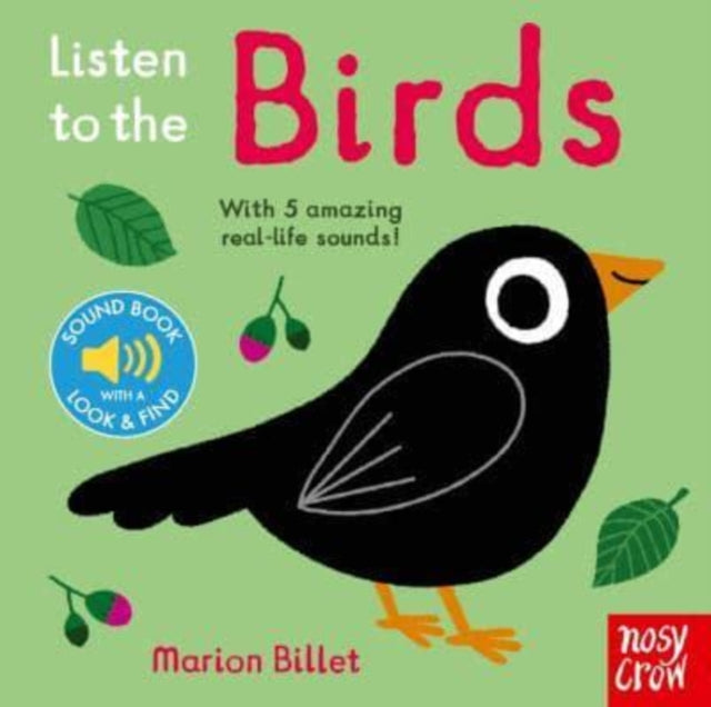 Listen to the Birds (ISBN: 9781839947346)