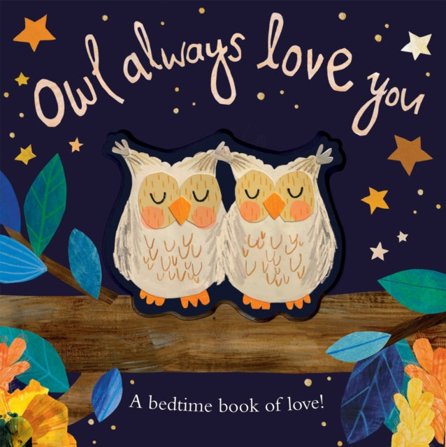Owl Always Love You : A bedtime book of love! (ISBN: 9781848579798)