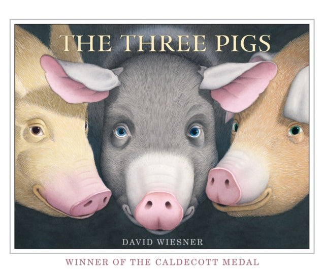 The Three Pigs (ISBN: 9781849394055)
