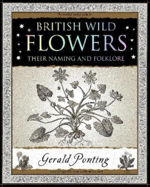 British Wild Flowers : Their Naming and Folklore (ISBN: 9781907155420)