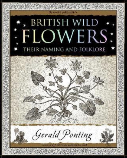 British Wild Flowers : Their Naming and Folklore (ISBN: 9781907155420)