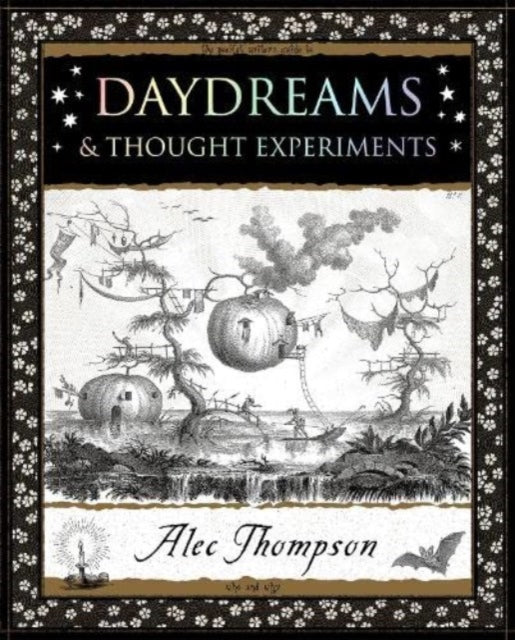 Daydreams : & Thought Experiments (ISBN: 9781907155550)