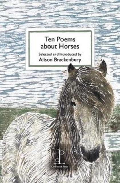 Ten Poems about Horses (ISBN: 9781907598791)