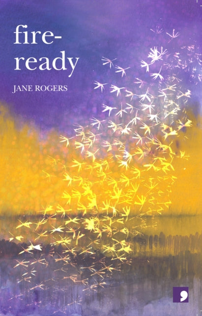 Fire Ready (ISBN: 9781912697762)