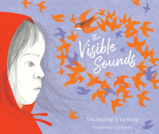 The Visible Sounds (ISBN: 9781912979790)