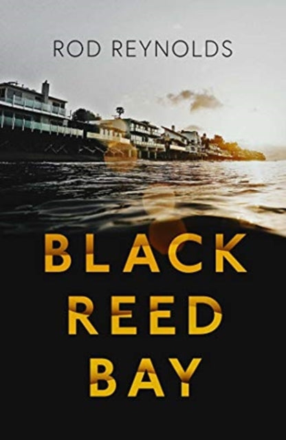 Black Reed Bay : The MUST-READ thriller of 2021… first in a heart-pounding new series Volume 1 (ISBN: 9781913193676)