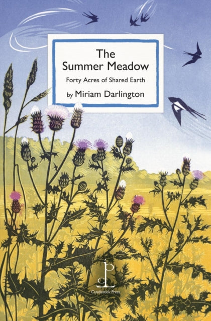 The Summer Meadow : Forty Acres of Shared Earth (ISBN: 9781913627423)
