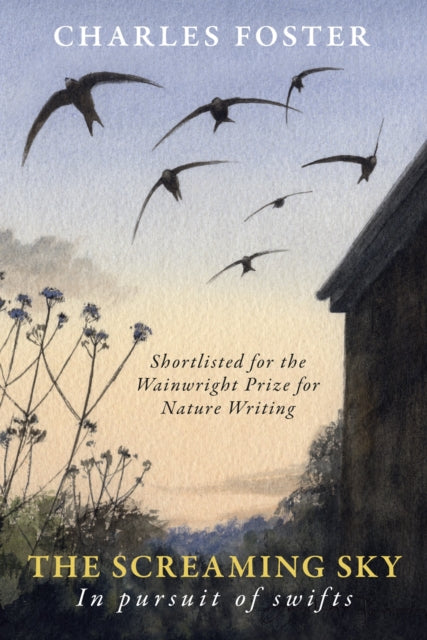 The Screaming Sky : in pursuit of swifts (ISBN: 9781915068002)