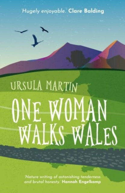 One Woman Walks Wales (ISBN: 9781916821385)