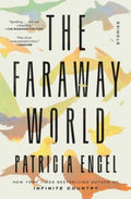 The Faraway World : Stories (ISBN: 9781982159535)