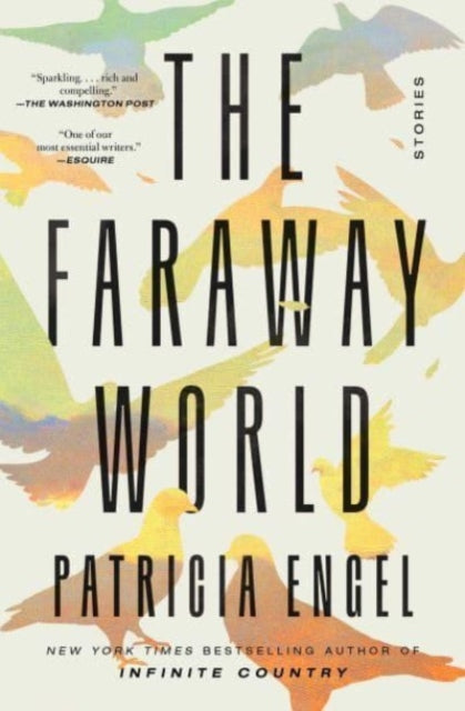 The Faraway World : Stories (ISBN: 9781982159535)